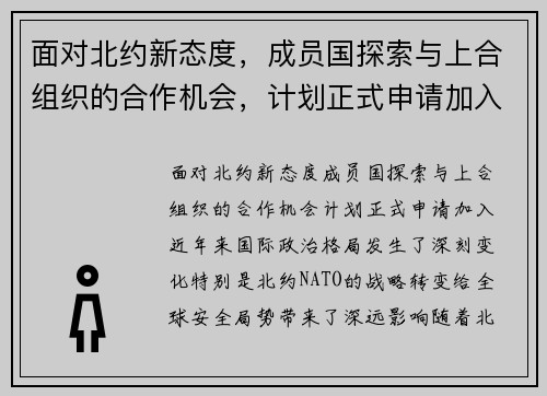 面对北约新态度，成员国探索与上合组织的合作机会，计划正式申请加入