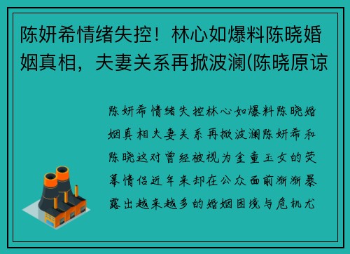 陈妍希情绪失控！林心如爆料陈晓婚姻真相，夫妻关系再掀波澜(陈晓原谅陈妍希了)